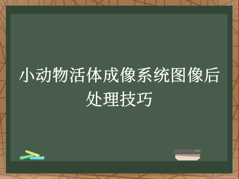 小动物活体成像系统图像后处理技巧
